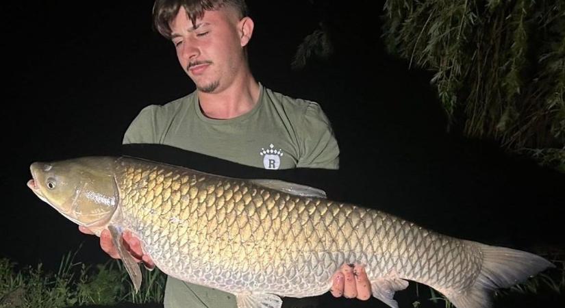Elkezdődött az amurszezon a Látóképi-tározónál, máris szép fogásnak örülhetett egy horgász