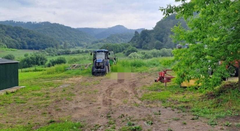 Ismét embert ölt a medve Erdélyben – hírek szombaton
