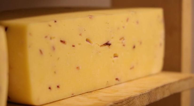 Légy a vendégem – sajtkészítő workshop vállalkozóknak