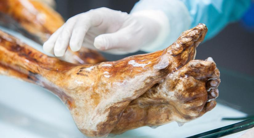 Kovászos kenyeret sütöttek a tudósok az Ötzi testében talált ötezer éves élesztőből