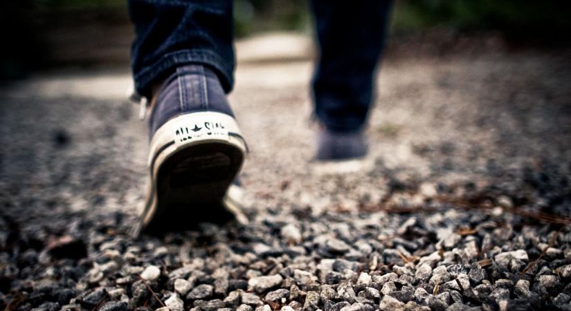 Rejtélyes eltűnés: a ChatGPT miatt veszett össze anyjával az egyetemista, mielőtt nyoma veszett