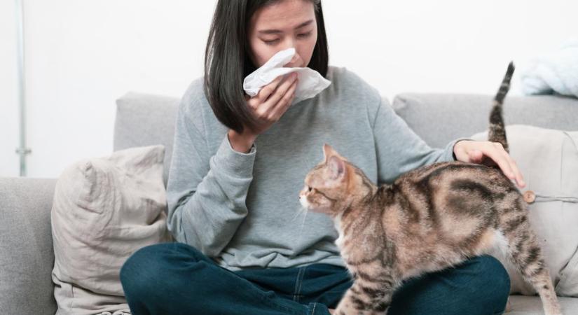 Nem csak a pollen miatt vannak rosszabbul az allergiások tavasszal – ez is okozhatja