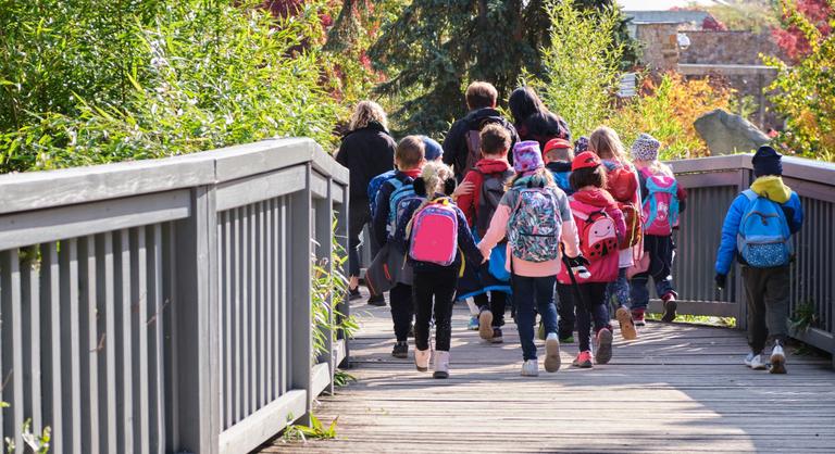 Milliókat vehetnek el a gyerekektől, avagy így működik a Határtalanul program a színfalak mögött