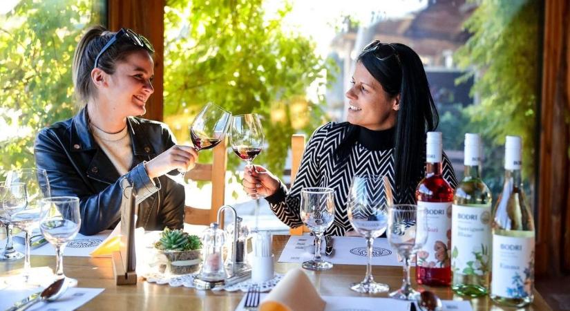 Nagy a baj! A szekszárdi borászok közül többen is a lejtőre kerültek
