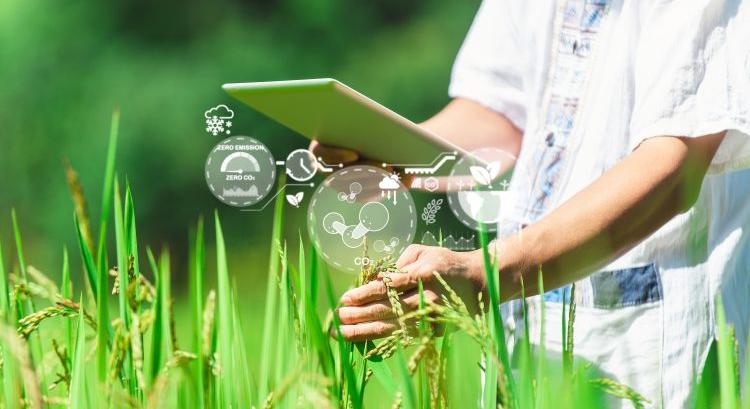 Zöld mezőgazdasági technológiák a precíziós agráriumban