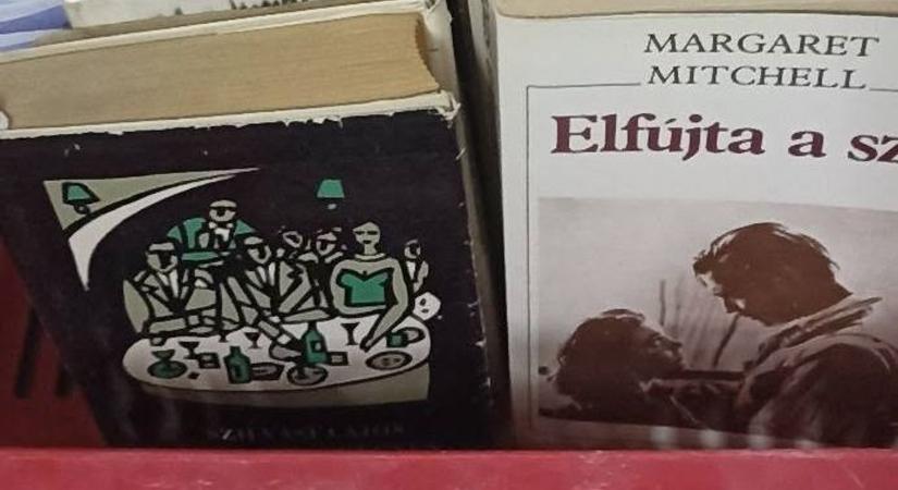 Ingyen elvihető könyvek várják az olvasókat a Villő előtt