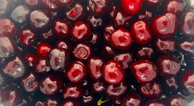Idénymunkával keresnél pénzt? Egyelőre nincs sok lehetőség Zalában