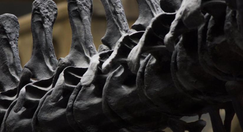 Négyszárnyú mutáns ragadozót fedeztek fel, a dinoszauruszok egyik legkülönlegesebbje lehetett