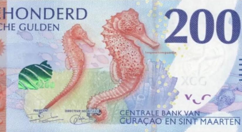 Bankjegybajnokságon hirdettek győztest: az egyik favorit lett a befutó