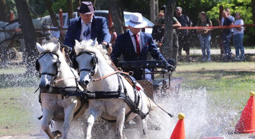 Bakra ültek a polgármesterek Tiszakécskén, de egy díszpolgár mindenkit maga mögé utasított  fotók