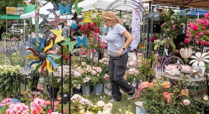 Több mint száz kiállító és tízezer látogató – ismét benépesült a fehérvárcsurgói kastélypark (galéria)