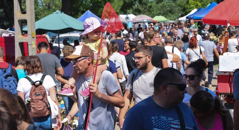 Hiába a tömeg, valami nagyon megváltozott a kisteleki vásárban – galériával, videóval
