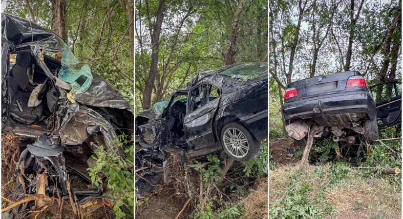 A levegőben állt meg az autó! Így van most a szováti úton fába csapódott BMW sofőrje - fotókkal!