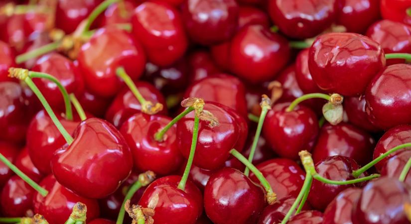 Kukacos cseresznye: mit tegyünk vele? A régi házi trükk újra előkerült
