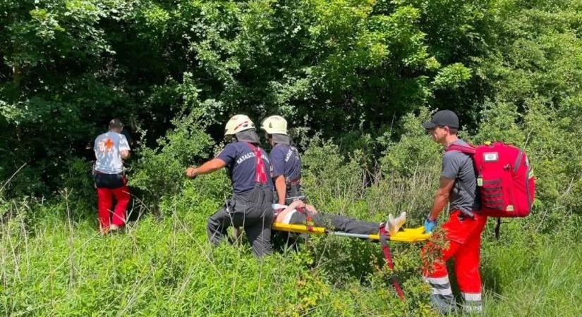 Kirándulni indult a Börzsönybe egy idős nő, végül hegyimentőknek kellett lehozniuk