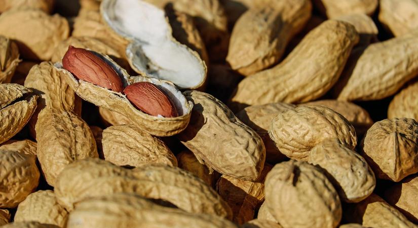 Anafilaxia? Egy mozdulattal életet menthetünk! (VIDEÓ)