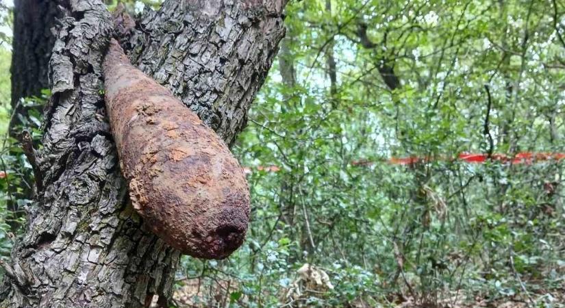 Bombát találtak Veszprémnél