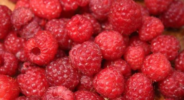 Aranyáron mérik a kedvenc nyári gyümölcsünket: luxuscikké vált