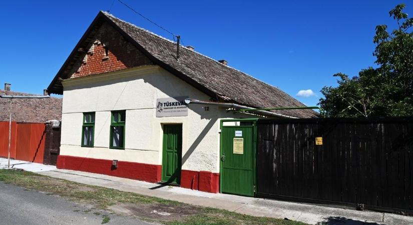 Fekete István madarai, Hú, Kele, Csuri és Citér költöztek be a kunszentmártoni emlékházba