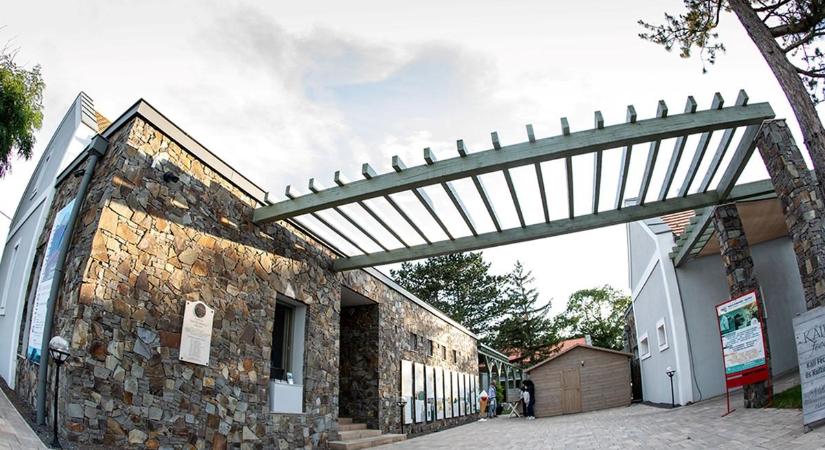 Idén nyáron is páratlan élményt kínál a Thália Nyárikert Salföldön