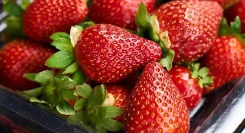 Veszélyes: ne fogyassza el az epret, ha ezt látja rajta