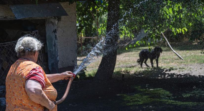 Fogytán az ivóvíz a szomszédban: súlyos ezresekre büntethetnek, ha ezt teszed a kertedben!