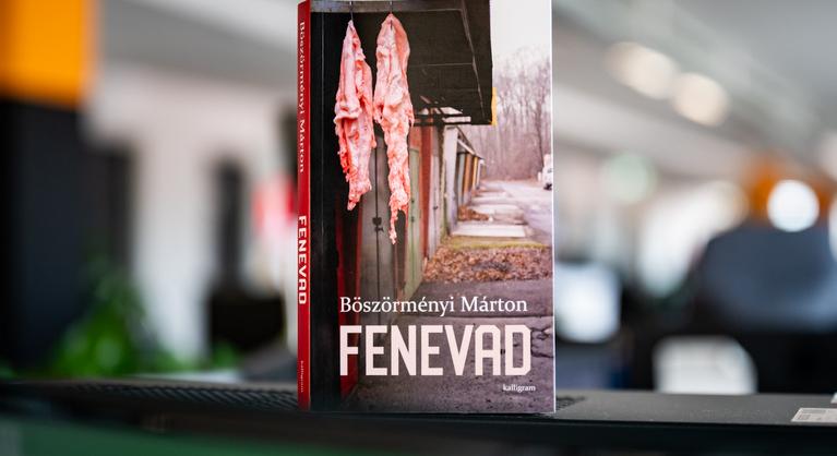 Most szinte mindent megtudhatunk a pedofil fenevadról