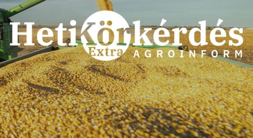 Pótkocsik: a logisztika hősei – Heti Körkérdés Extra
