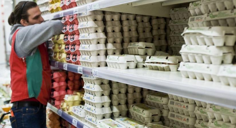 Nyári munka diákoknak: íme a legfontosabb tudnivalók
