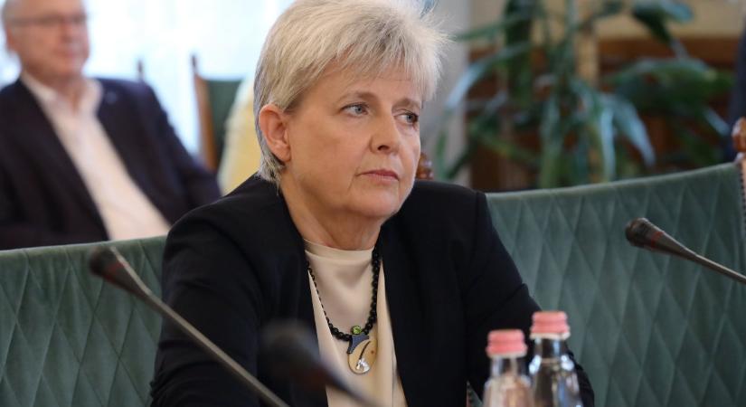 Lannert: Nem hiszem, hogy Gulyásnak szövegértési gondjai lennének
