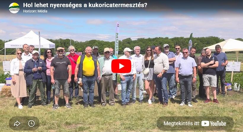Hol lehet nyereséges a kukoricatermesztés?