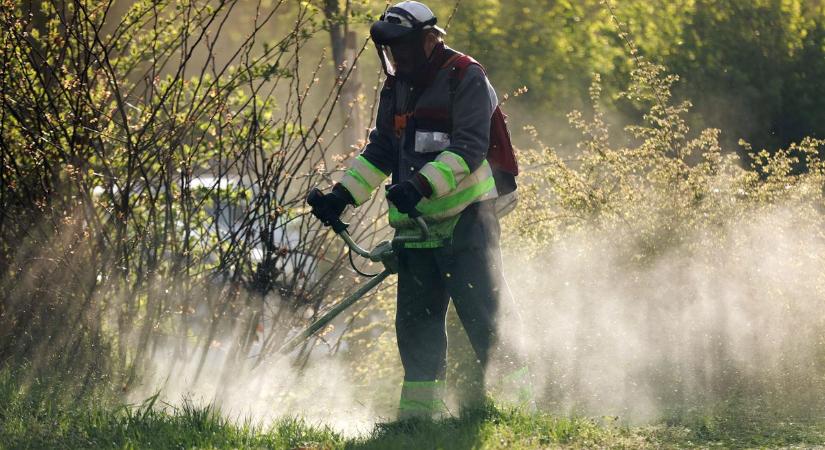 Vége a fűnyírás-stopnak Szabolcsban is – fellélegezhetnek végre a pollenallergiások?