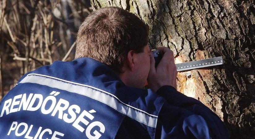 Eltűnt egy 12 éves pécsi kislány – a rendőrség megkezdte a keresést