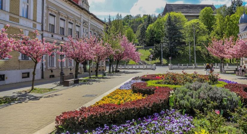 Borsodból, Veszprémből és Pestről pályáztak legtöbben a Virágos Magyarország versenyre