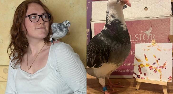 Egy kisebb vagyont keres a fiatal nő galambjaival, de nem úgy, ahogy elsőre gondolnánk