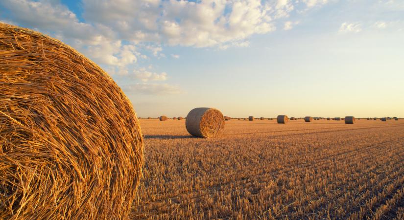 Mikor éri meg egy mezőgazdasági üzemnek biogázüzemet telepíteni?