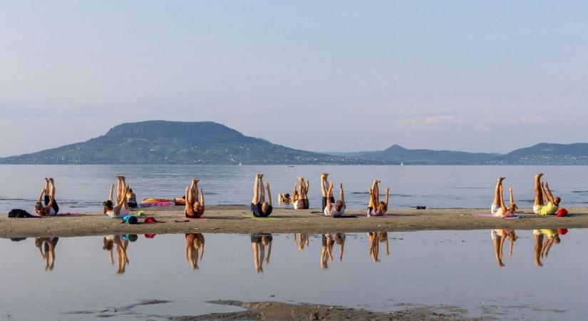 Annyira kevés a víz a Balatonban, hogy még erre is alkalmas a fenyvesi "Majomsziget"