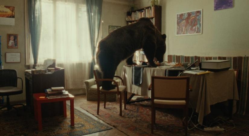 Újabb fontos lépést tett meg az Oscar felé a medvévé váló lány története