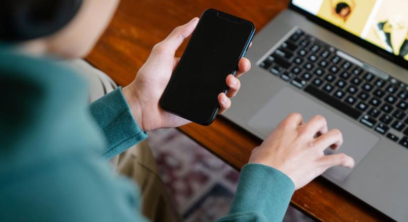 Szép bevételt hozott az adógatóság online vásártere
