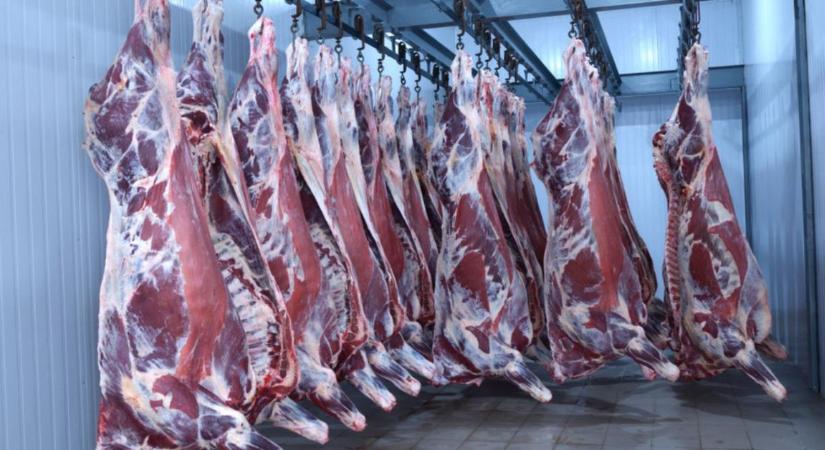 Kifogyóban a marhahús a világpiacról? Döbbenetes drágulás csapta meg a vágóhidakat