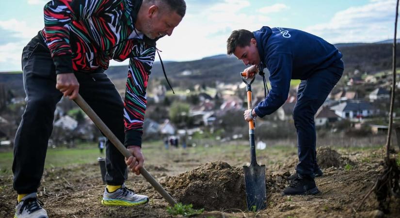 Egy hangfelvétel szerint Radnai Márk bizalmasa a Mi Hazánk egyik politikusától próbált terhelő információt szerezni Tóth Péterről