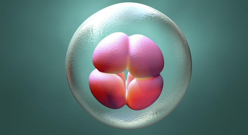 Először módosították emberi embriók DNS-ét az újgenerációs, precíz génszerkesztési technológiával
