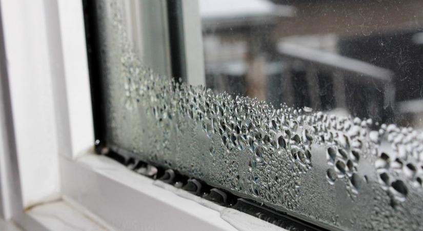 Most jött a borzalmas hír: az ötödikről zuhant ki egy kollégista Székesfehérváron