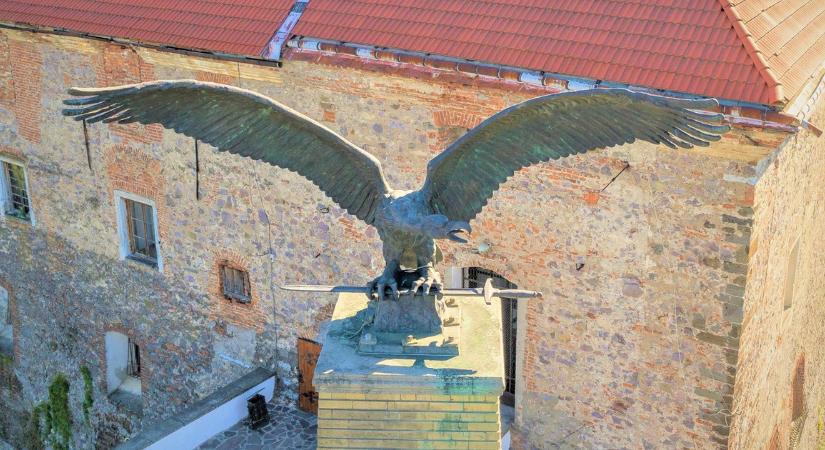 Pákh Imre: Vissza a Turult, de nem ingyen kérem!