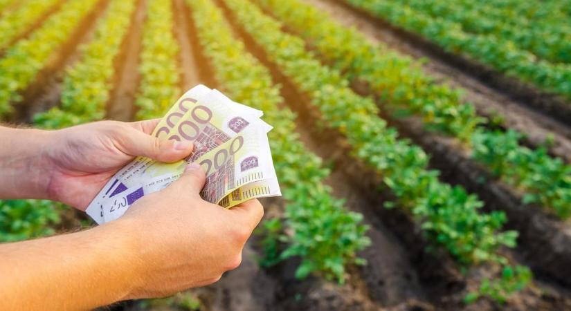 Már eurómilliárdokat buktunk, de még menthető a helyzet