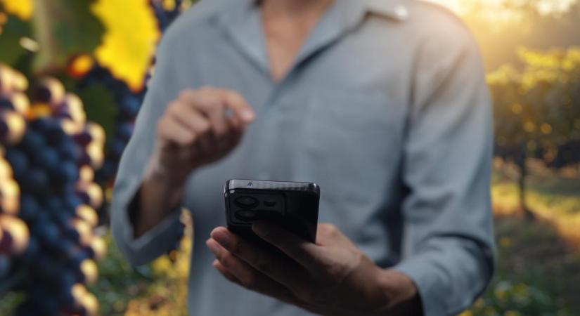 Mobilappon is jelenthető az amerikai szőlőkabóca