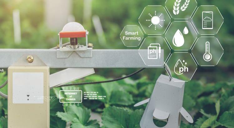Az eper ízét is felturbózhatja a mesterséges intelligencia