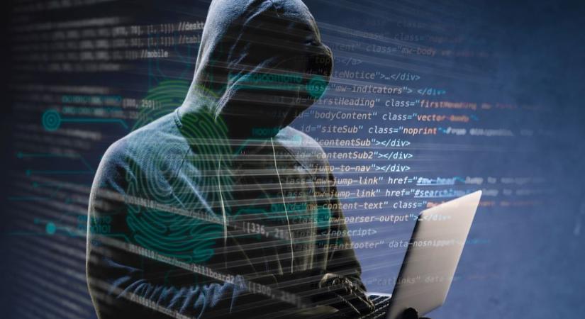 A Cyber Őrség platformra az első héten mintegy 250 bejelentés érkezett