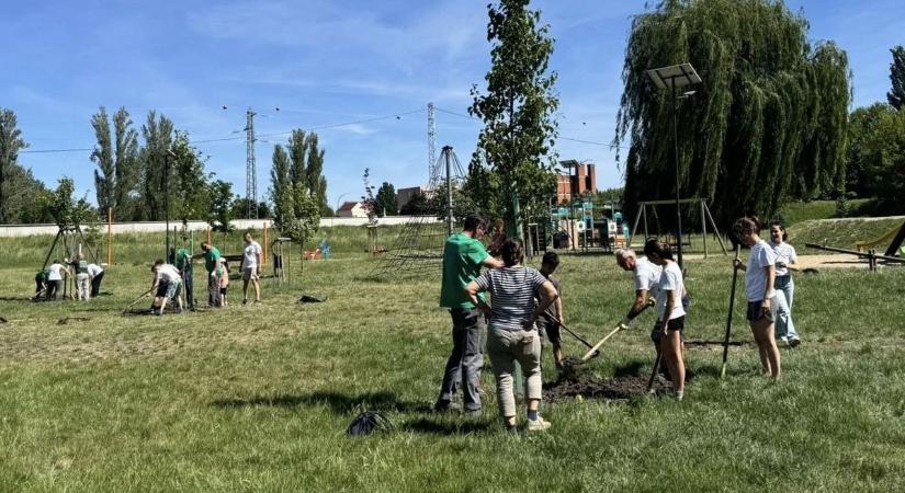 A Kölyökaréna környezete élhetőbbé vált Hatvanban