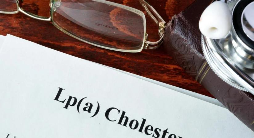 Nem csak az LDL számít: ez a koleszterintípus növelheti a szívbetegségek kockázatát nőknél